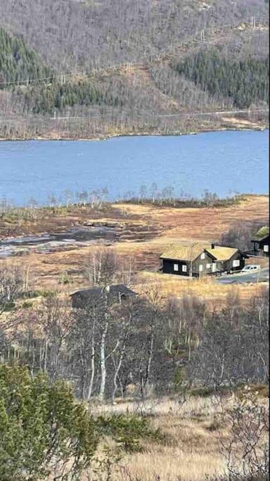 Heimro * Torvetjorn