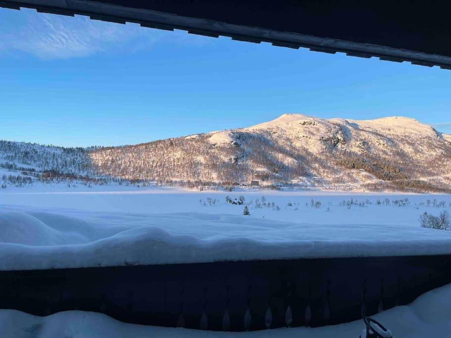 Heimro * Torvetjorn